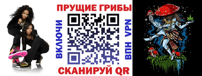 Галлюциногенные грибы Psilocybe  Гаврилов Посад 