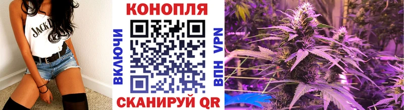 МАРИХУАНА ГИДРОПОН  kraken как зайти  маркетплейс формула  Гаврилов Посад 